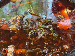 -鸿顺老铁锅美蛙鱼府(解放碑店)