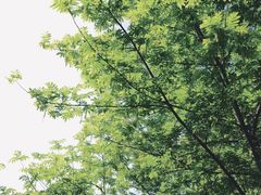 -西山漾湿地公园