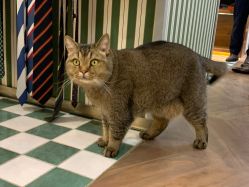 -优刻西服西装定制(金轮国际广场店)