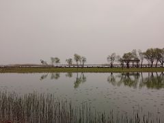 -苏州太湖湖滨国家湿地公园