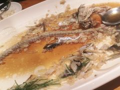 -丹江渔村(望京店)