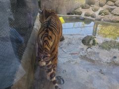 -海南热带野生动植物园