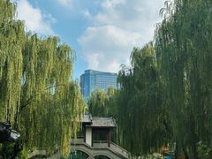-团结湖公园