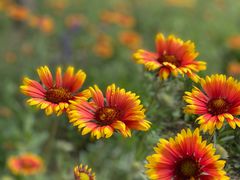 -北运河水利风景区