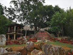 -七仙岭温泉国家森林公园