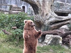 -宁波野生动物园