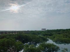 -北海金海湾红树林生态旅游区