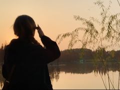 -白鹭湾湿地公园