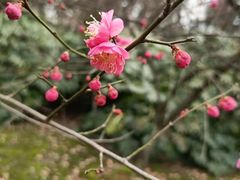 -宜兴龙背山森林公园