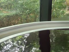 -春晖园度假酒店温泉