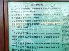 -大湾区中央湿地公园