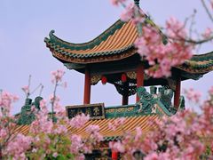 -宝墨园景区