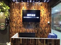 点击看大图 -藤野造型