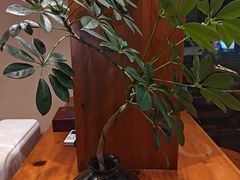 -鸥迪足道(湖南示范店)