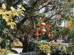 -盆满钵满·国家非遗传承(云台店)