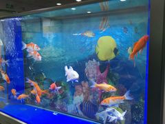 -北京市中关村医院