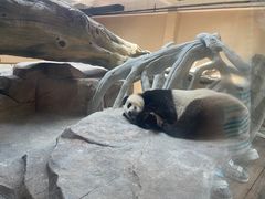 -宁波野生动物园