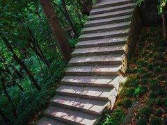 -宝石山