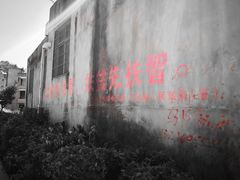 -小皓村