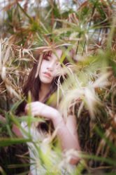 -施华洛婚纱摄影会所(范阳中路店)