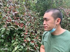 -杨柳青庄园