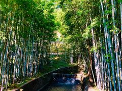 -广东温泉宾馆