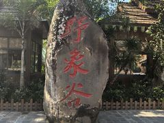 -野象谷景区