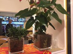 -十三朝牛馍王擀面皮(骡马市店)