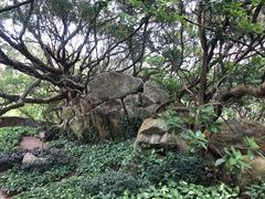 -宋井风景区