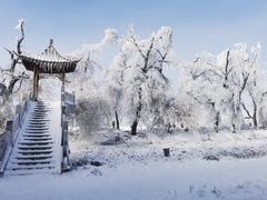 -雾凇岛