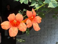 -火火咖啡&茶空间