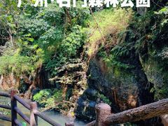 -广州市石门国家森林公园
