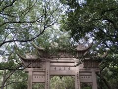 -灵岩山风景区