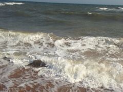 -东戴河风景区-止锚湾