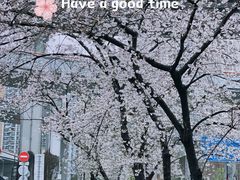 -南浦大桥长途旅游客运站