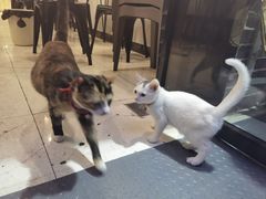 -2烧烤串·秘制鲫鱼