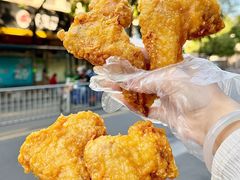 -潮禧记炸鸡翅(中旅店)