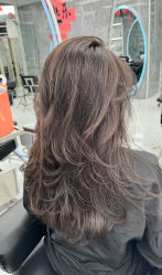 -5M HAIR SALON 旗舰店
