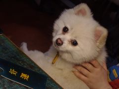 -零几体验diy皮具工作室(振业城店)