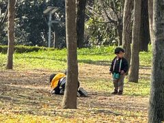 -洨河生态公园