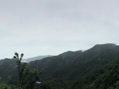 -木兰云雾山