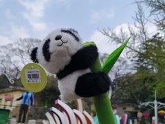 -昆明动物园