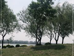 -丁香湖公园