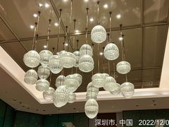 -深圳国际会展中心希尔顿酒店(前海华发冰雪世界店)