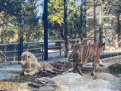 -北京野生动物园