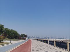 -星光岛