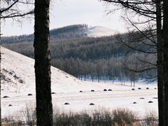 -塞罕坝国家级自然保护区