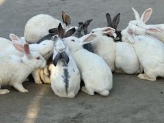 -茅山东方盐湖城景区