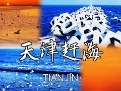 -天津东疆湾沙滩景区