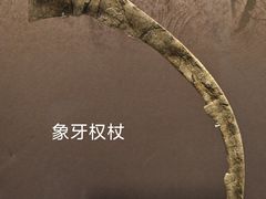 -良渚博物院